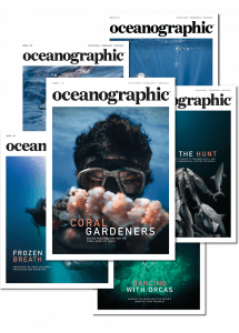 Oceanographic Magazine, subscription, issue 12