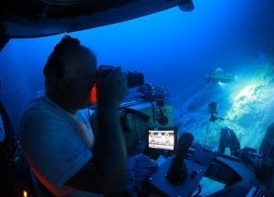 triton-pilot-nemo-tiger-bank-bermuda-underwater-photography