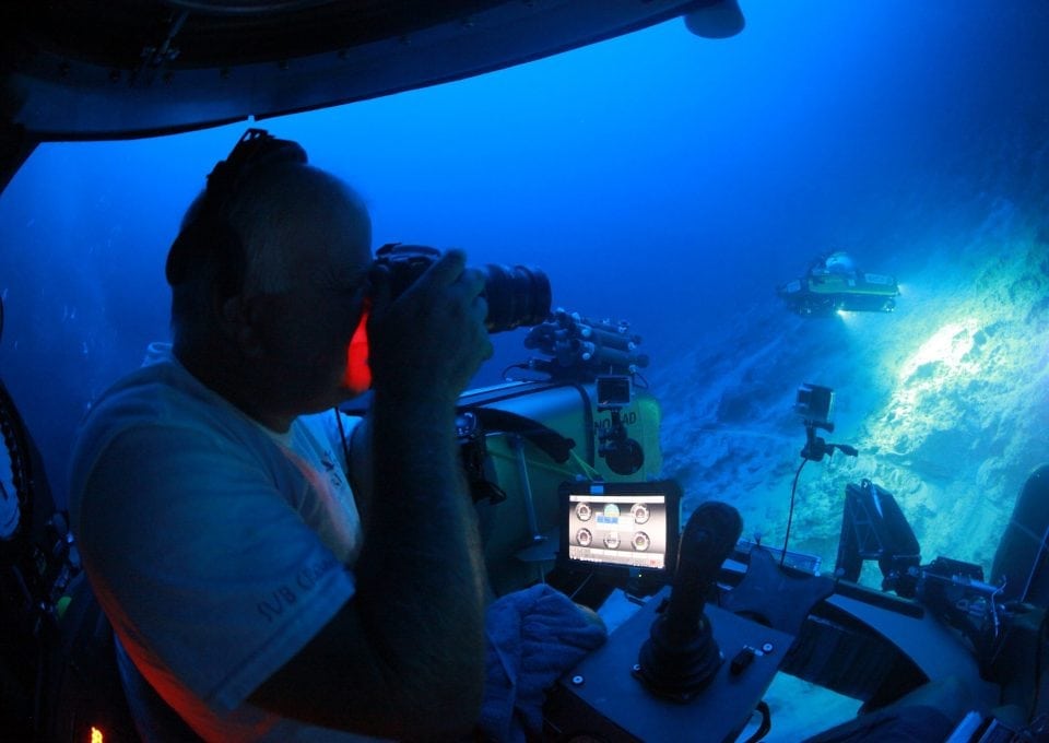 triton-pilot-nemo-tiger-bank-bermuda-underwater-photography