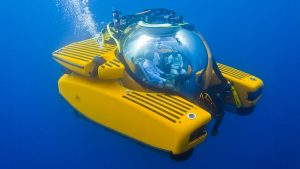 triton-submersible-nekton