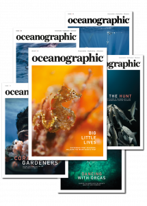 Oceanographic Issue 15 subscription