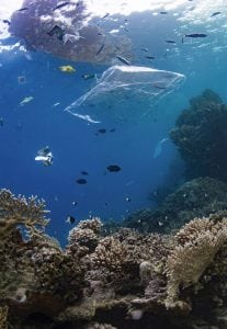 plastic-bag-ocean-coral-reef-underwater-photography