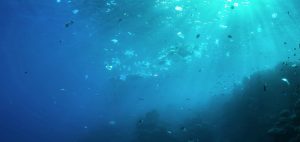 plastic-pollution-ocean-reef-underwater-photography