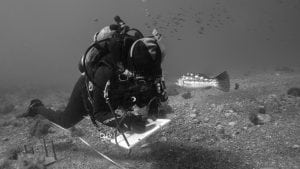 Diver-Reef-Check-HELEN-BRIERLEY