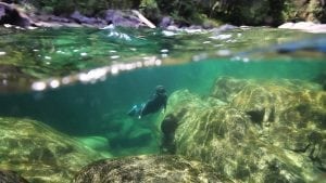 River snorkelling, river photography, underwater photography.