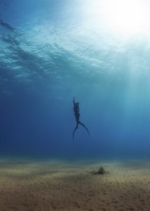hanli-prinsloo-underwater-photography-south-africa-freediving