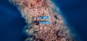 coral-reef-photography-freediving-daan-verhoeven