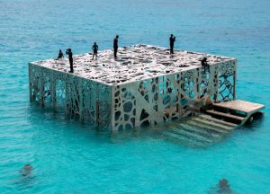 coralarium-jason-decairnes-taylor-maldives-cat-vinton-birdseye-photography-ocean
