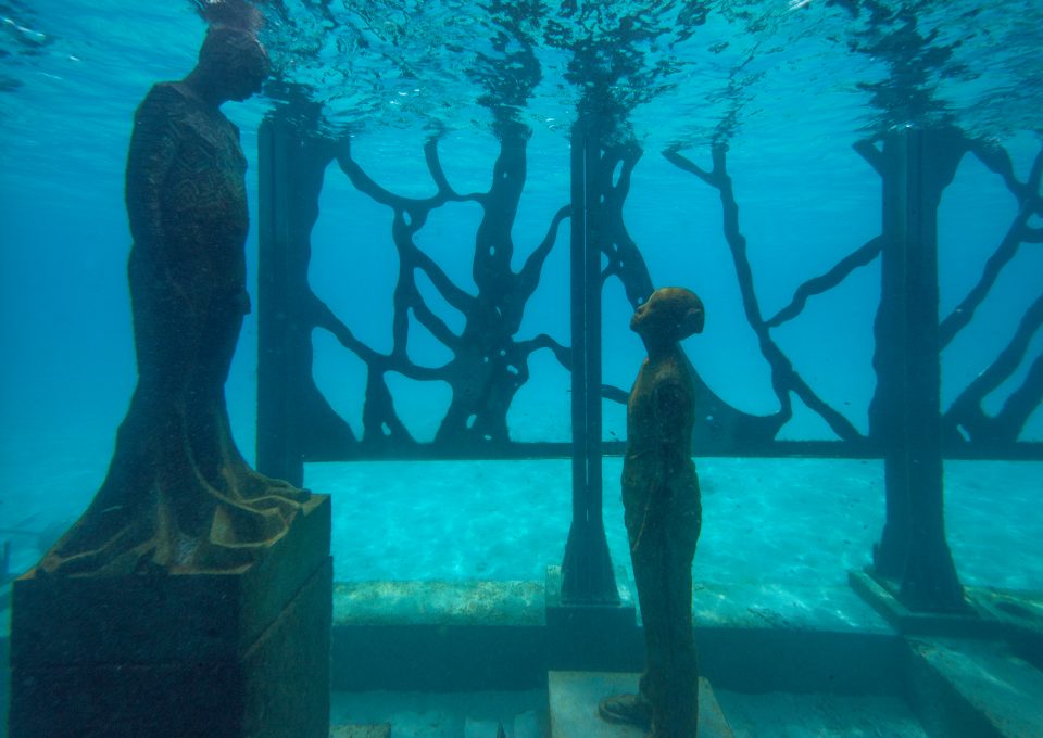 coralarium-jason-decairnes-taylor-maldives-cat-vinton-underwater-photography