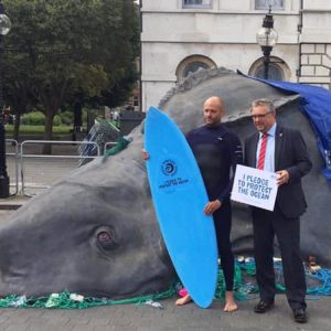 ocean-conservation-all-party-parliamentary-group-surfers-against-sewage