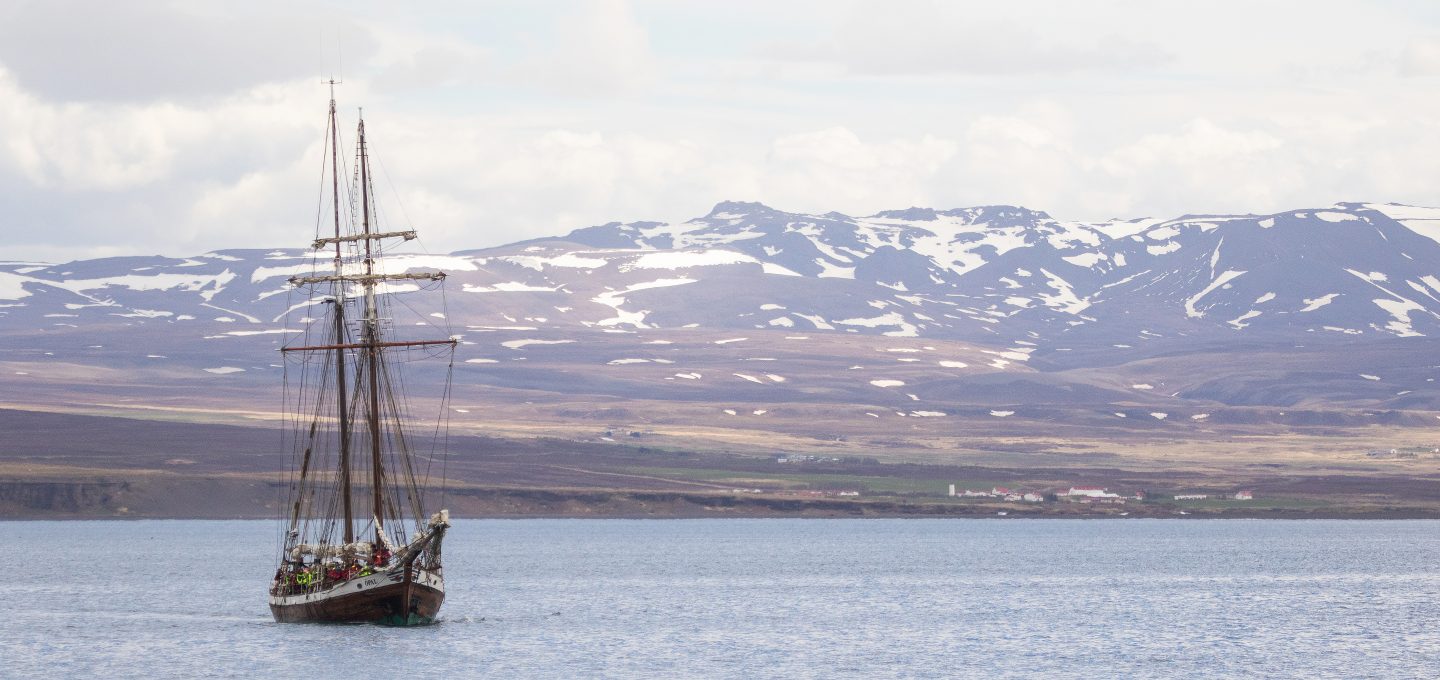 whale-watching-research-Húsavík-iceland