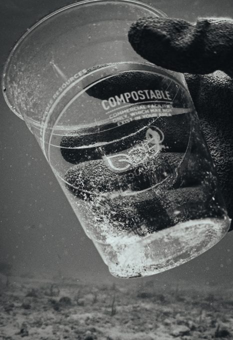 BARBADOS-OCEAN-CLEAN-UP-COMPOSTIBLE-CUP