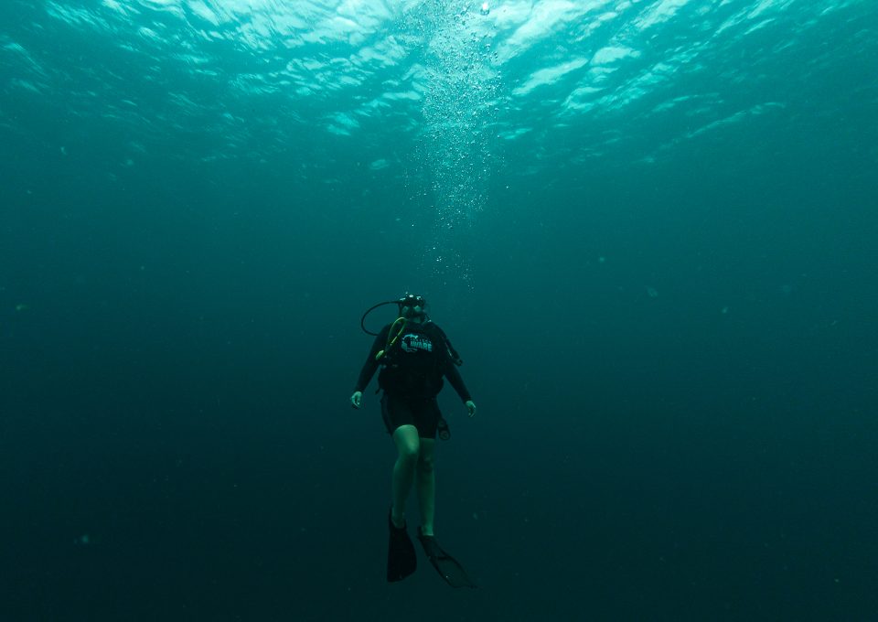 BARBADOS-OCEAN-CLEAN-UP-PROJECT-AWARE