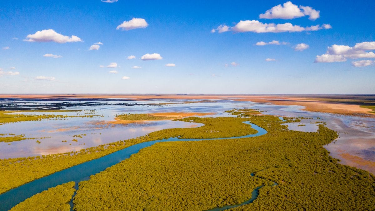 Life on the Ningaloo Reef Where the outback meets the sea