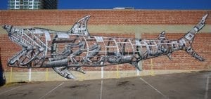 tre packard pangea seed sea walls ocean activism conservation artivism shark san diego public art