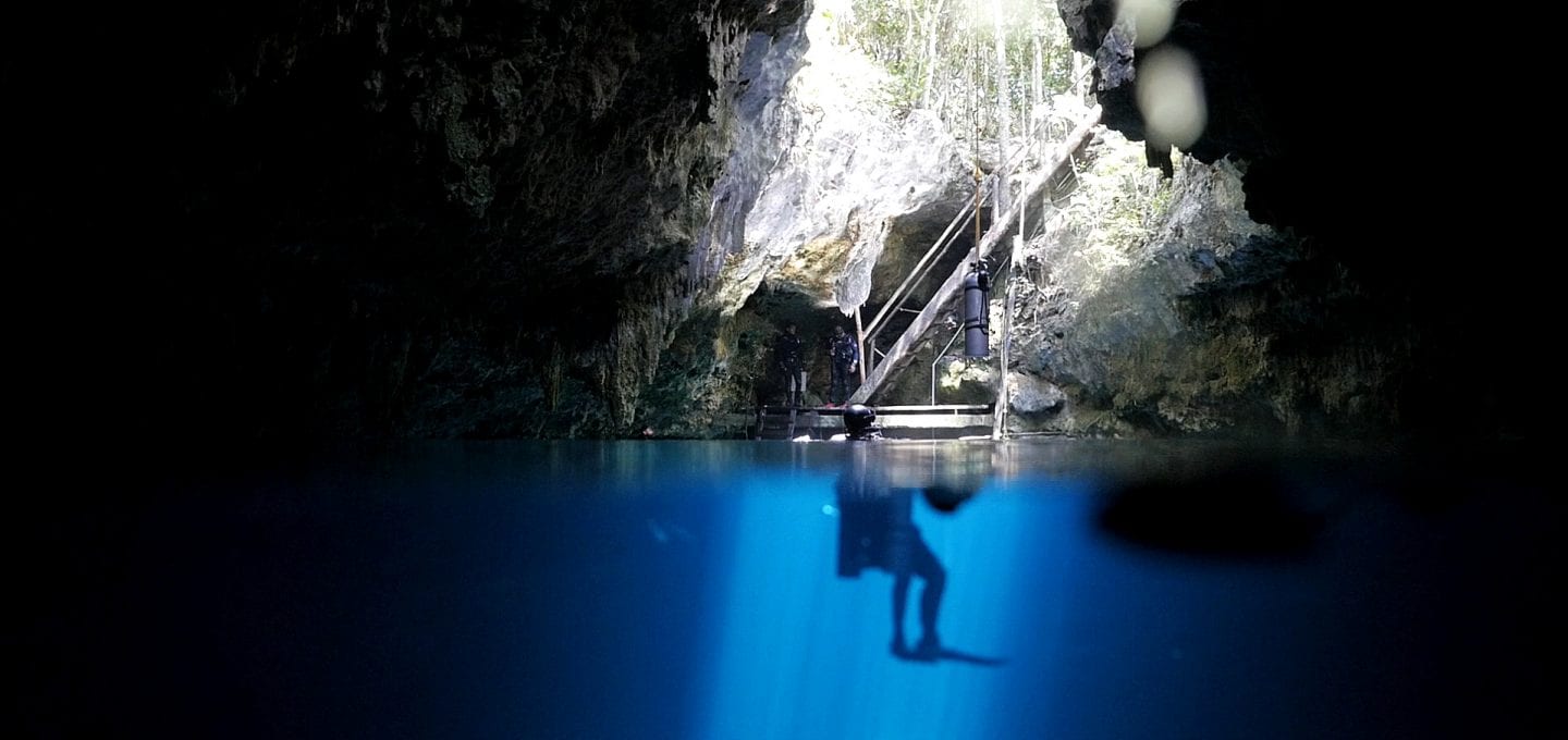 Cenotes Katy Fraser Underwater Artist Filmmaker Philip Gray marine