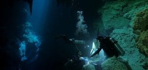 Cenotes Katy Fraser Underwater Artist Filmmaker Philip Gray diving