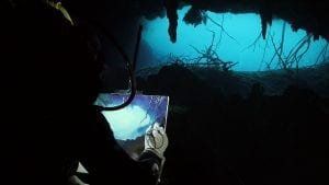 Cenotes Katy Fraser Underwater Artist Filmmaker Philip Gray painter