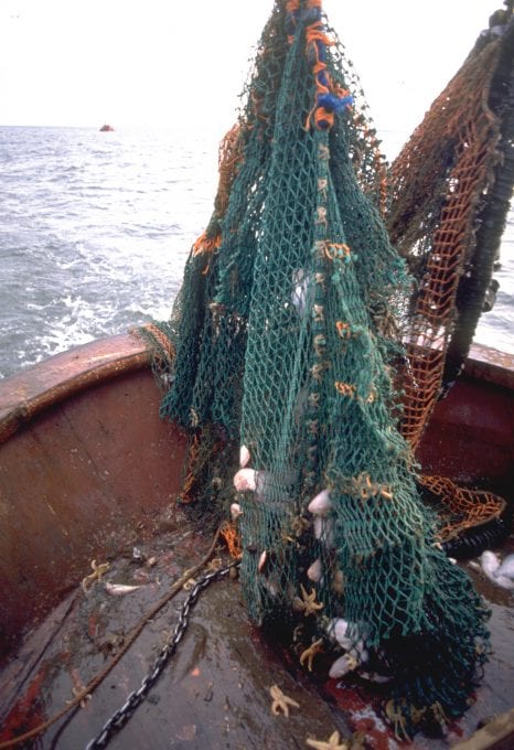 marine protection Greenpeace DEFRA UK fishing fisheries high seas Highly Protected Marine Areas HMPA fisheries