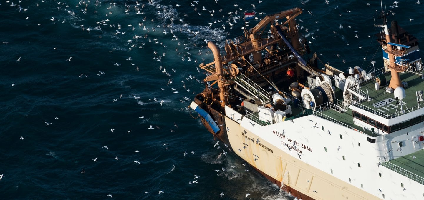marine protection Greenpeace DEFRA UK fishing fisheries high seas Highly Protected Marine Areas HMPA