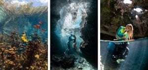 the bahamas andre musgrove underwater photographer