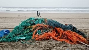 surfers against sewage hugo tagholm plastic pollution sustainable economy ocean debris