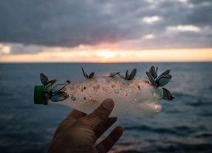 The Vortex Swim Crew marine debris ocean microplastics plastic bottle