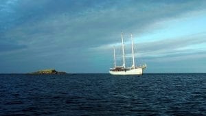 Rara Avis tall ship schooner sailing ocean