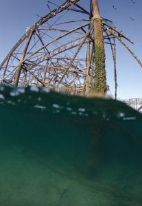 Brighton West Pier wreck Will Appleyard UK sea underwater