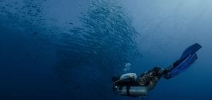 Indonesia plastic pollution Banda diving