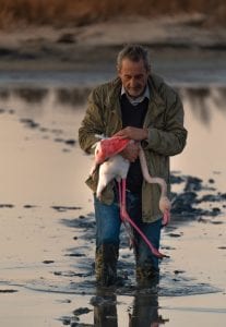 Lefkada Lagoon Flamingos Chris Stavrakas fishing net