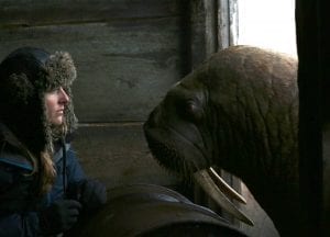 Alastair-Fothergill-Our-Planet-Jamie-McPherson-walrus
