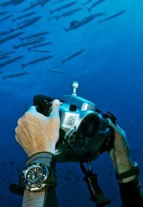 Mr Marc Hayek taking a photograph of barracuda