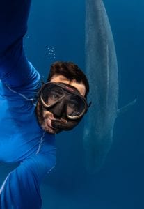 Simon Lorenz underwater photography
