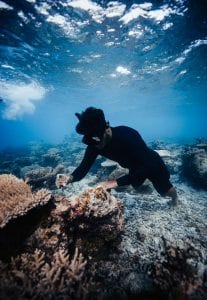 Titouan Bernicot Coral Gardeners outplanting