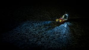 polar night arctic light pollution marine organisms