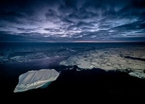 polar night arctic light pollution marine organisms Arctic ocean