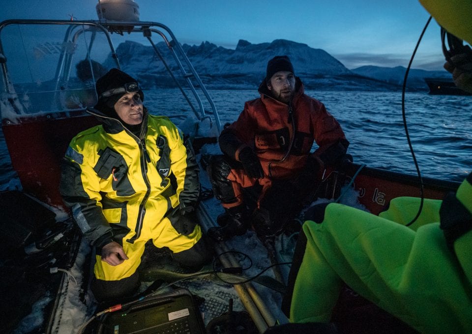 polar night arctic light pollution marine organisms research