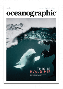 Issue 13, Oceanographic Magazine