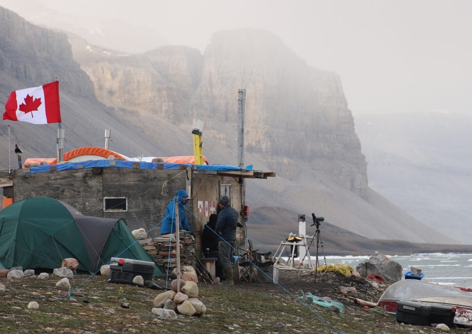 Narwhal camp