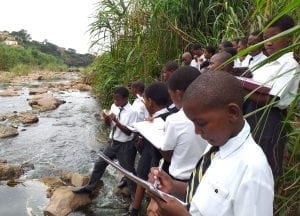 School trip Threatened Amphibian Programme Dr Jeanne Tarrant Endangered Wildlife Trust