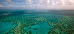 Great Barrier Reef Legacy Coral Biobank GBR