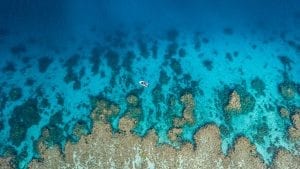 Great Barrier Reef Legacy Coral Biobank merlin