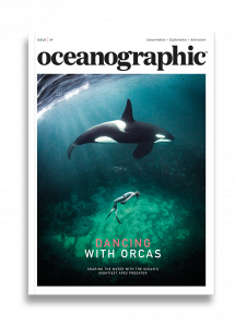 Oceanographic Magazine, Issue 09, Dancing with orcas
