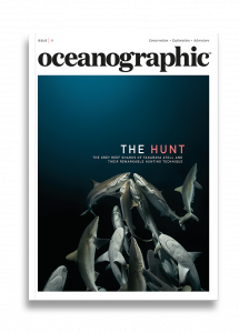 Oceanographic Magazine, Issue 11, The hunt