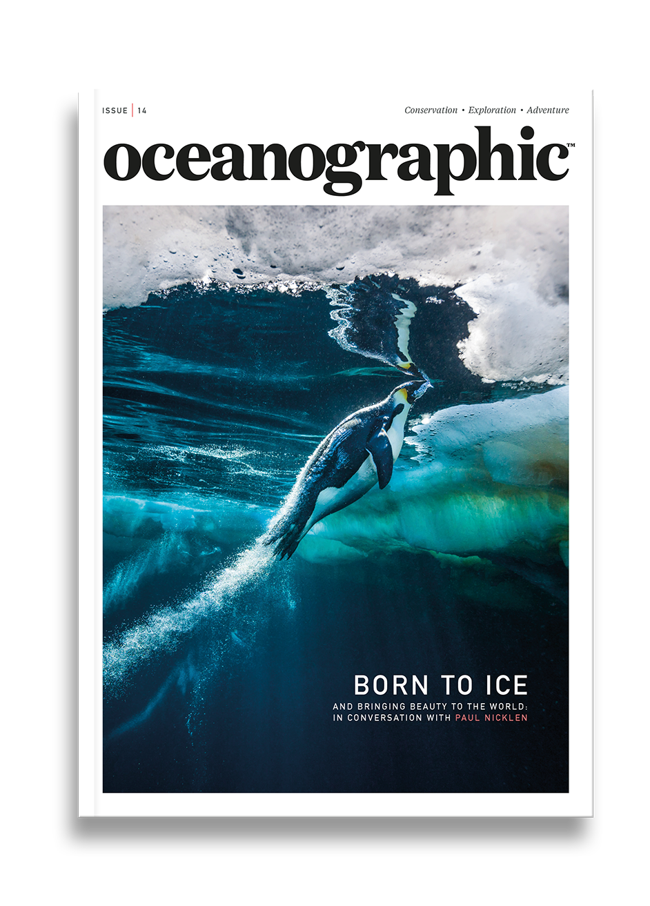 Oceanographic Magazine, Issue 14, Born to Ice