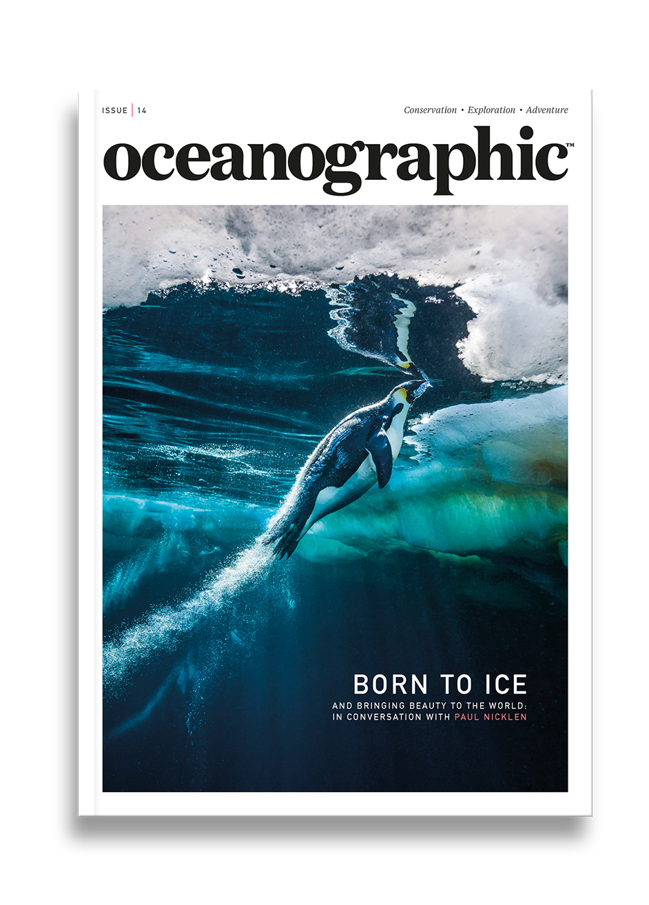 Issue Fourteen / Born to ice / Oceanographic Magazine