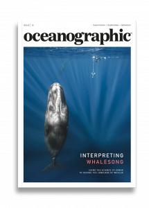 Oceanographic Magazine, Issue 10, Interpreting whalesong