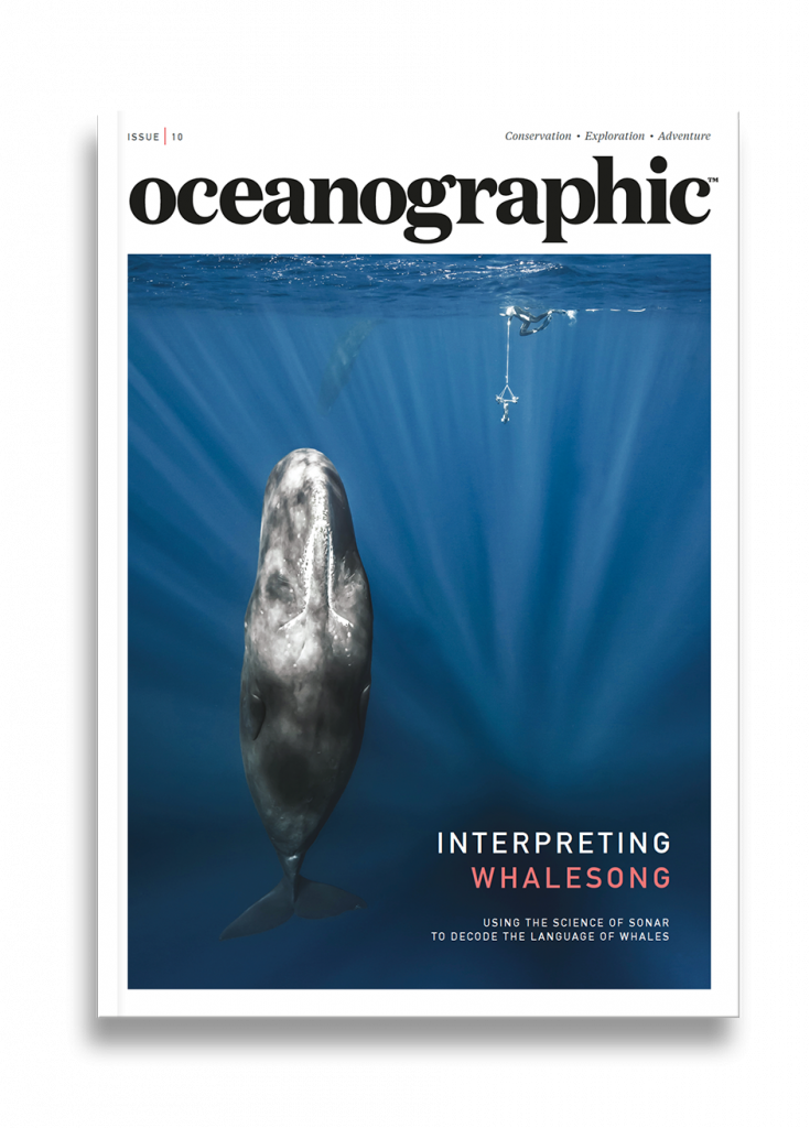 Mustique Fork in the road Oceanographic Oceanographic