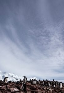 Angel Grimaldi Polar Guide